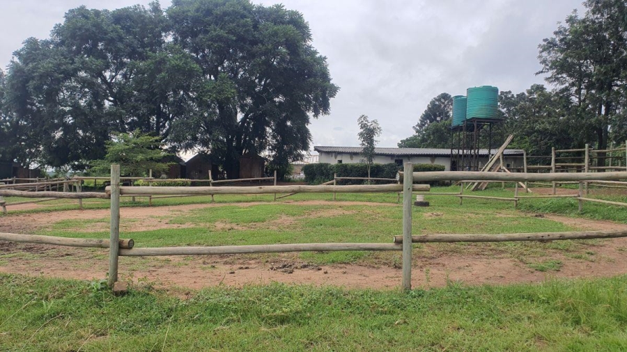 3 Bedroom Property for Sale in White River Mpumalanga