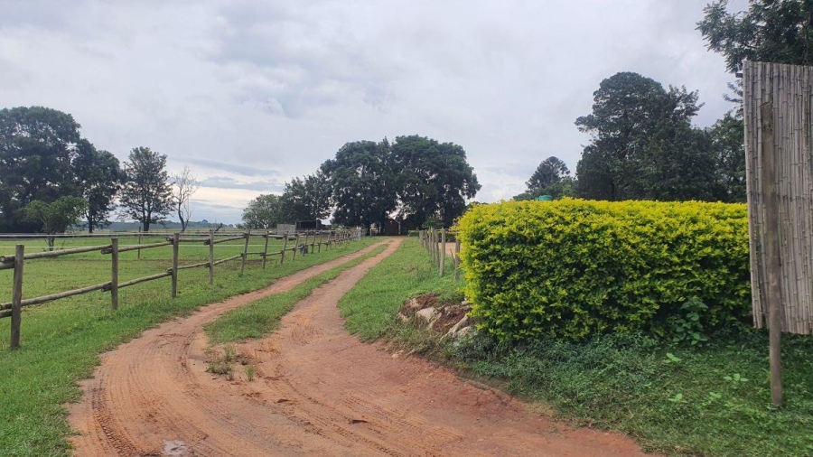 3 Bedroom Property for Sale in White River Mpumalanga