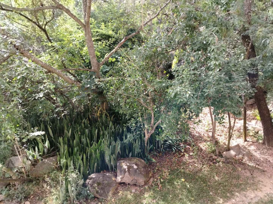 2 Bedroom Property for Sale in Nelspruit Ext 20 Mpumalanga