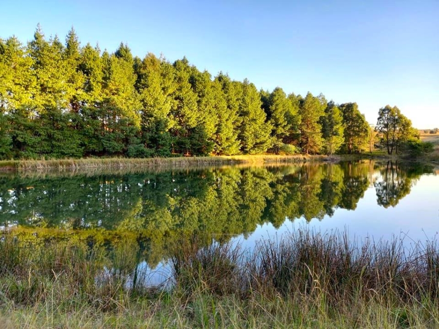 10 Bedroom Property for Sale in Belfast Mpumalanga