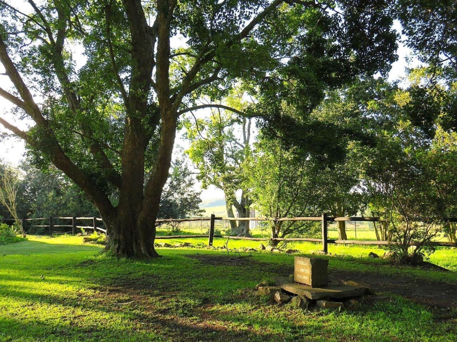 10 Bedroom Property for Sale in Belfast Mpumalanga