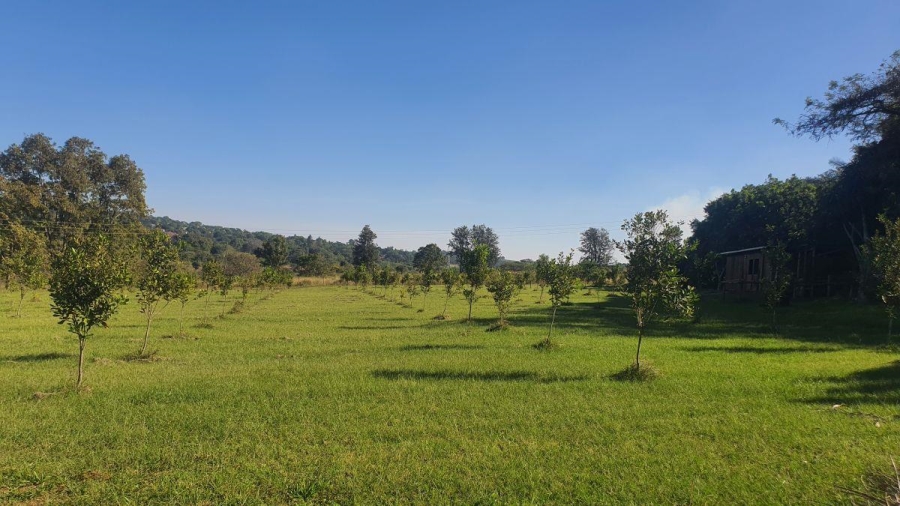 6 Bedroom Property for Sale in White River Mpumalanga