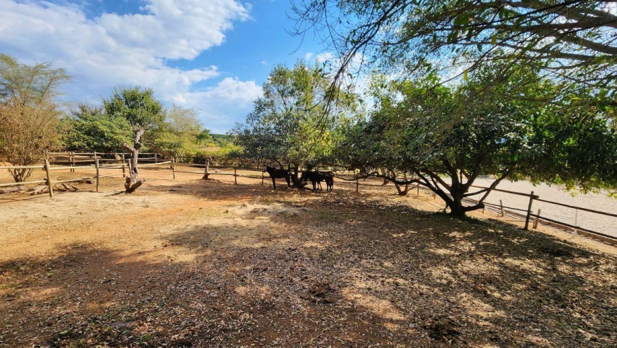 5 Bedroom Property for Sale in White River Mpumalanga