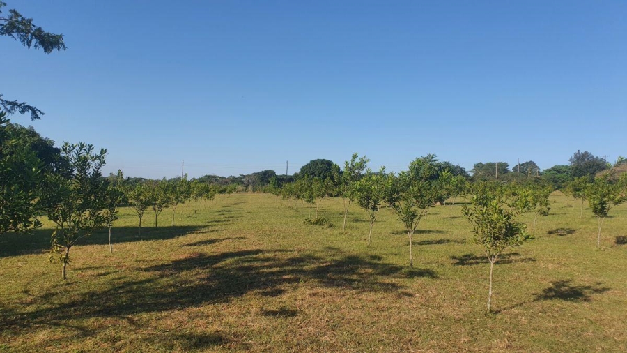 6 Bedroom Property for Sale in White River Mpumalanga
