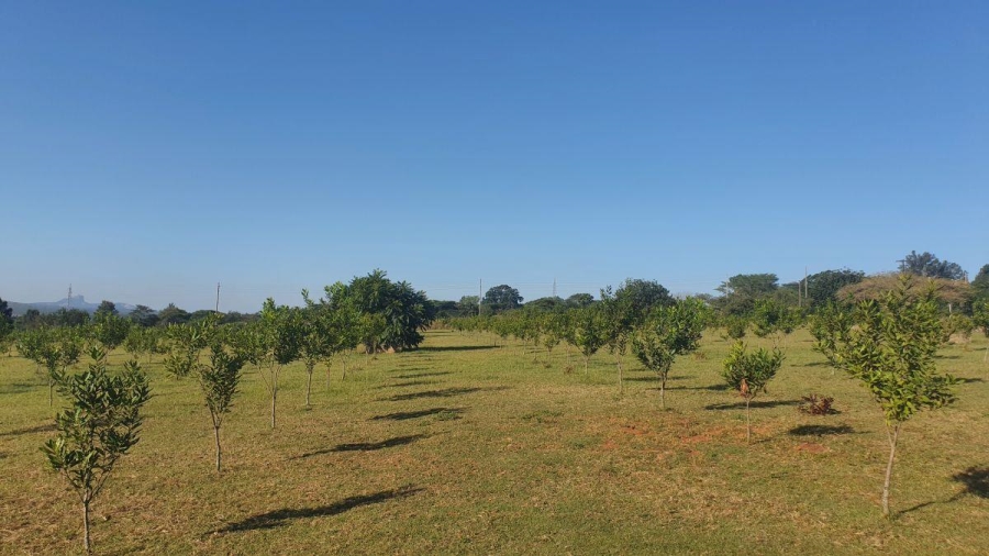 6 Bedroom Property for Sale in White River Mpumalanga