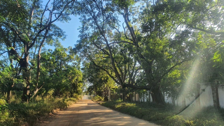 6 Bedroom Property for Sale in White River Mpumalanga