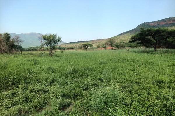 0 Bedroom Property for Sale in Nelspruit Mpumalanga