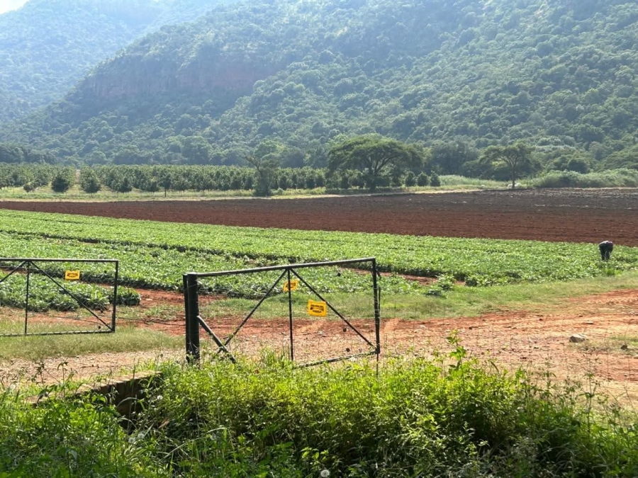 0 Bedroom Property for Sale in Nelspruit Mpumalanga