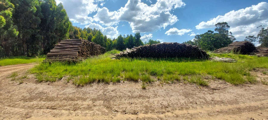 0 Bedroom Property for Sale in Belfast Mpumalanga