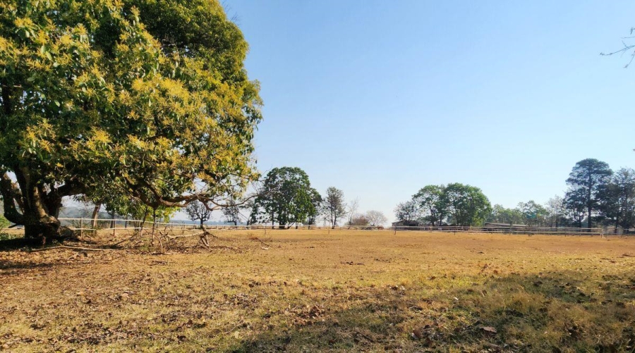 To Let 0 Bedroom Property for Rent in White River Mpumalanga