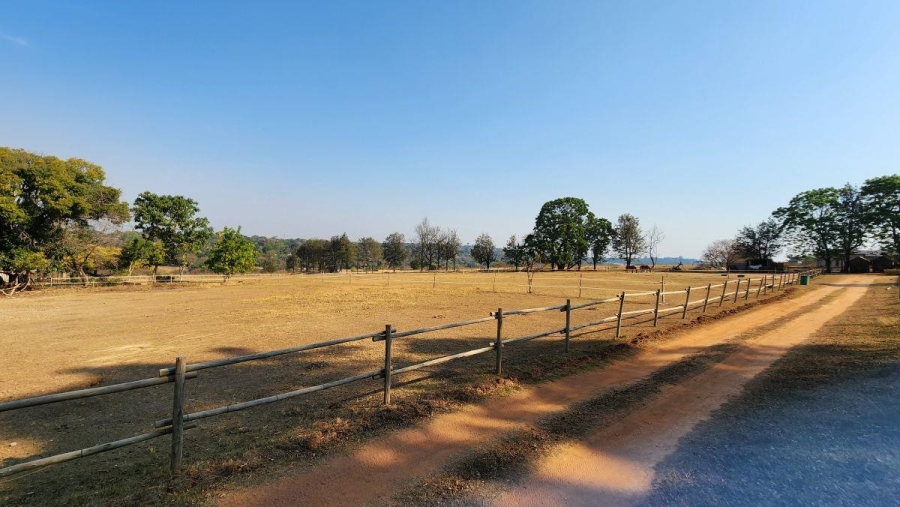 To Let 0 Bedroom Property for Rent in White River Mpumalanga