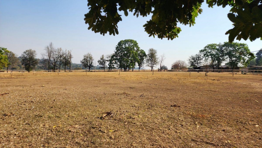 To Let 0 Bedroom Property for Rent in White River Mpumalanga