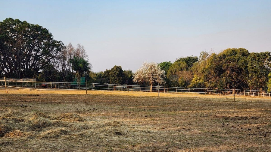 To Let 0 Bedroom Property for Rent in White River Mpumalanga