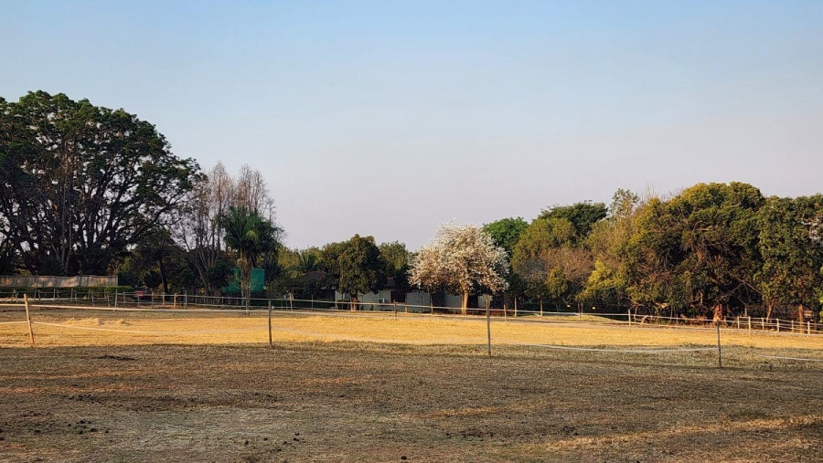 To Let 0 Bedroom Property for Rent in White River Mpumalanga