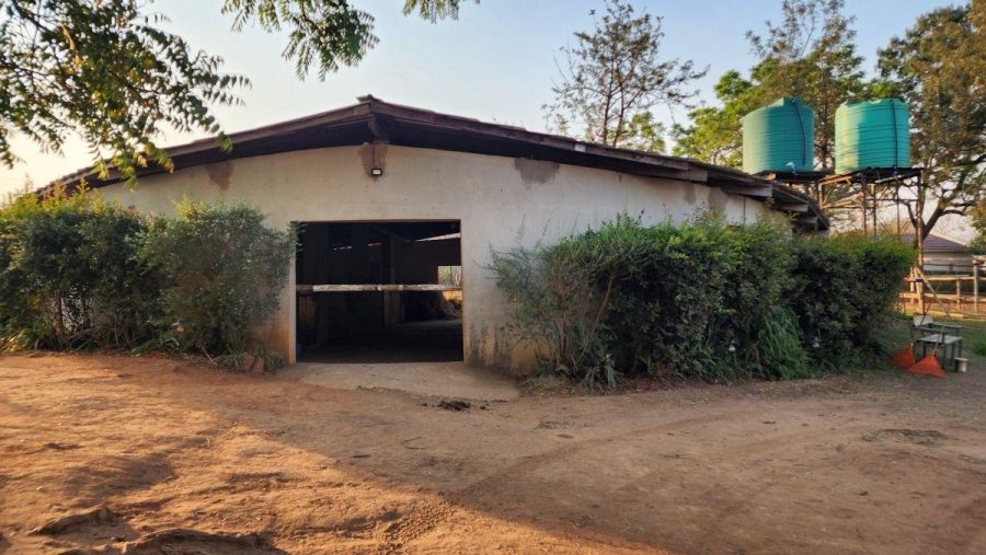 To Let 0 Bedroom Property for Rent in White River Mpumalanga