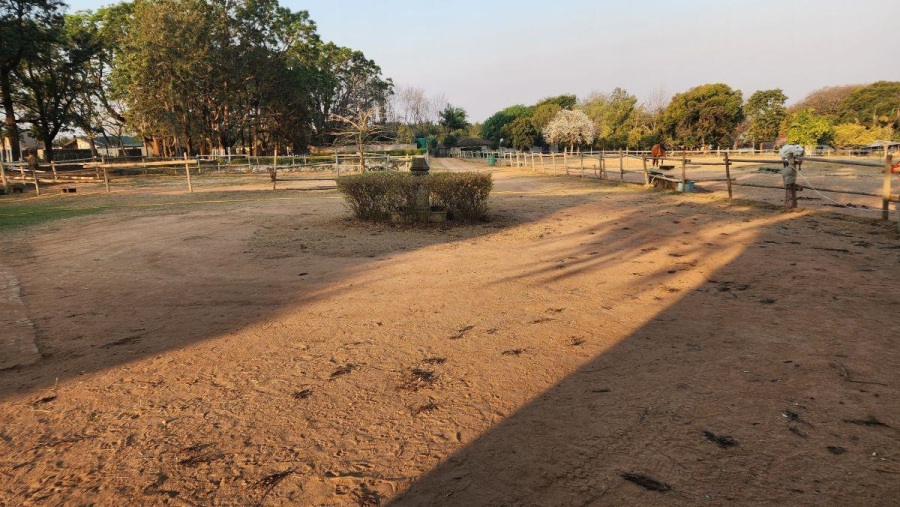 To Let 0 Bedroom Property for Rent in White River Mpumalanga