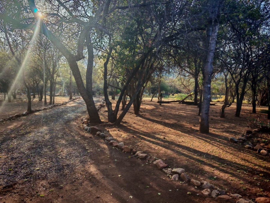 To Let 3 Bedroom Property for Rent in Burgersfort Limpopo