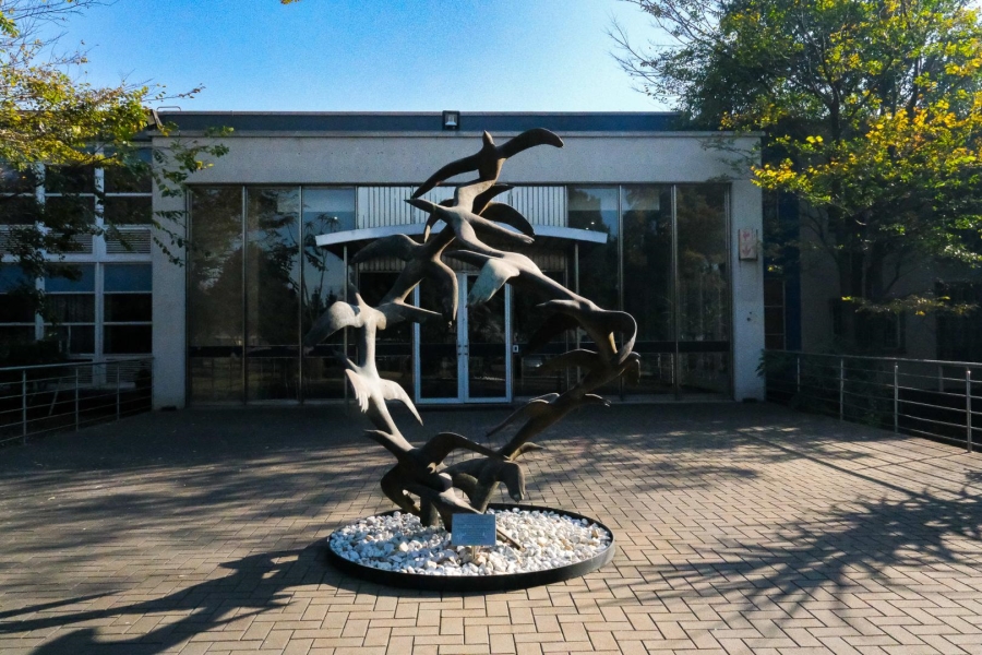 To Let commercial Property for Rent in Emalahleni Mpumalanga