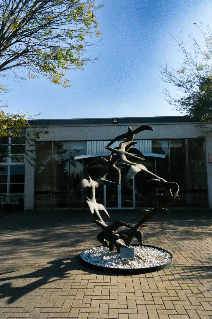 To Let commercial Property for Rent in Emalahleni Mpumalanga