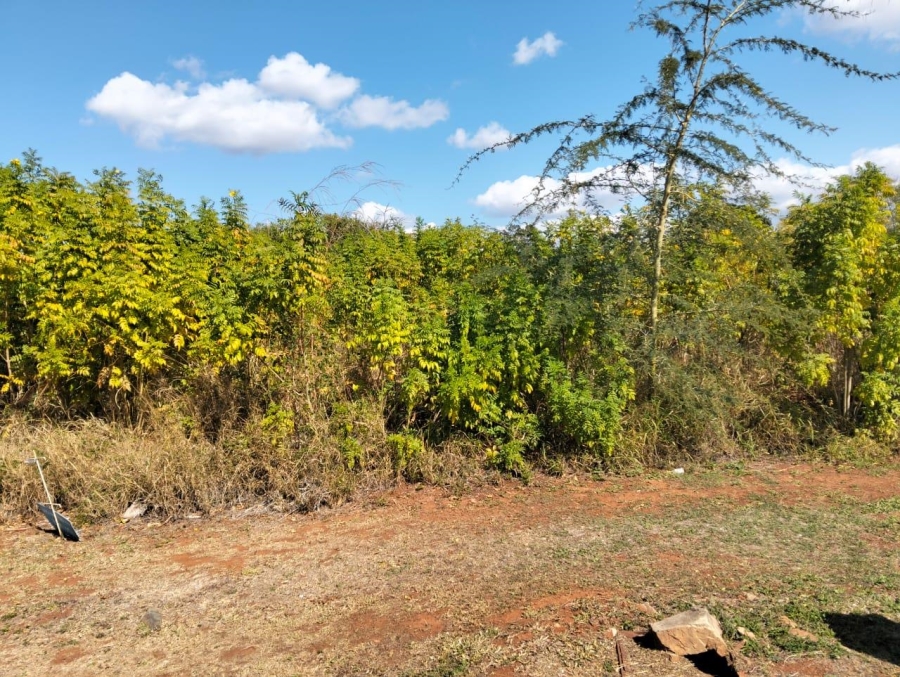 0 Bedroom Property for Sale in Malelane Mpumalanga