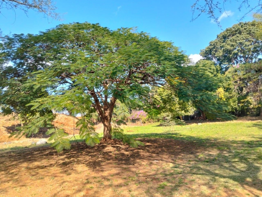 0 Bedroom Property for Sale in Malelane Mpumalanga