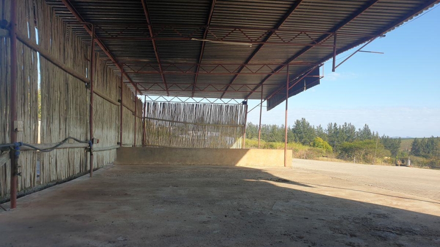 To Let commercial Property for Rent in White River Mpumalanga