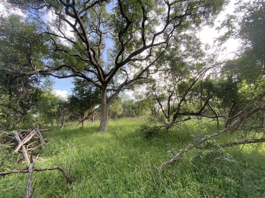 0 Bedroom Property for Sale in Lydenburg Mpumalanga