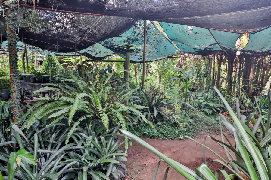 Commercial Property for Sale in White River AH Mpumalanga