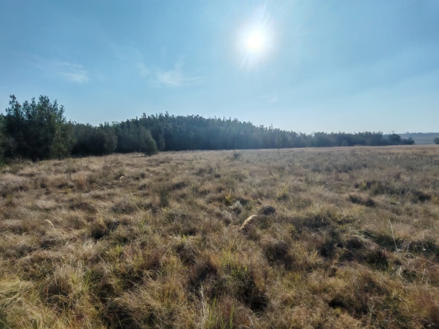 Commercial Property for Sale in Witbank Rural Mpumalanga