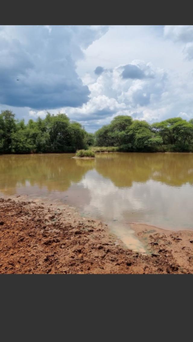 Commercial Property for Sale in Marble Hall Mpumalanga