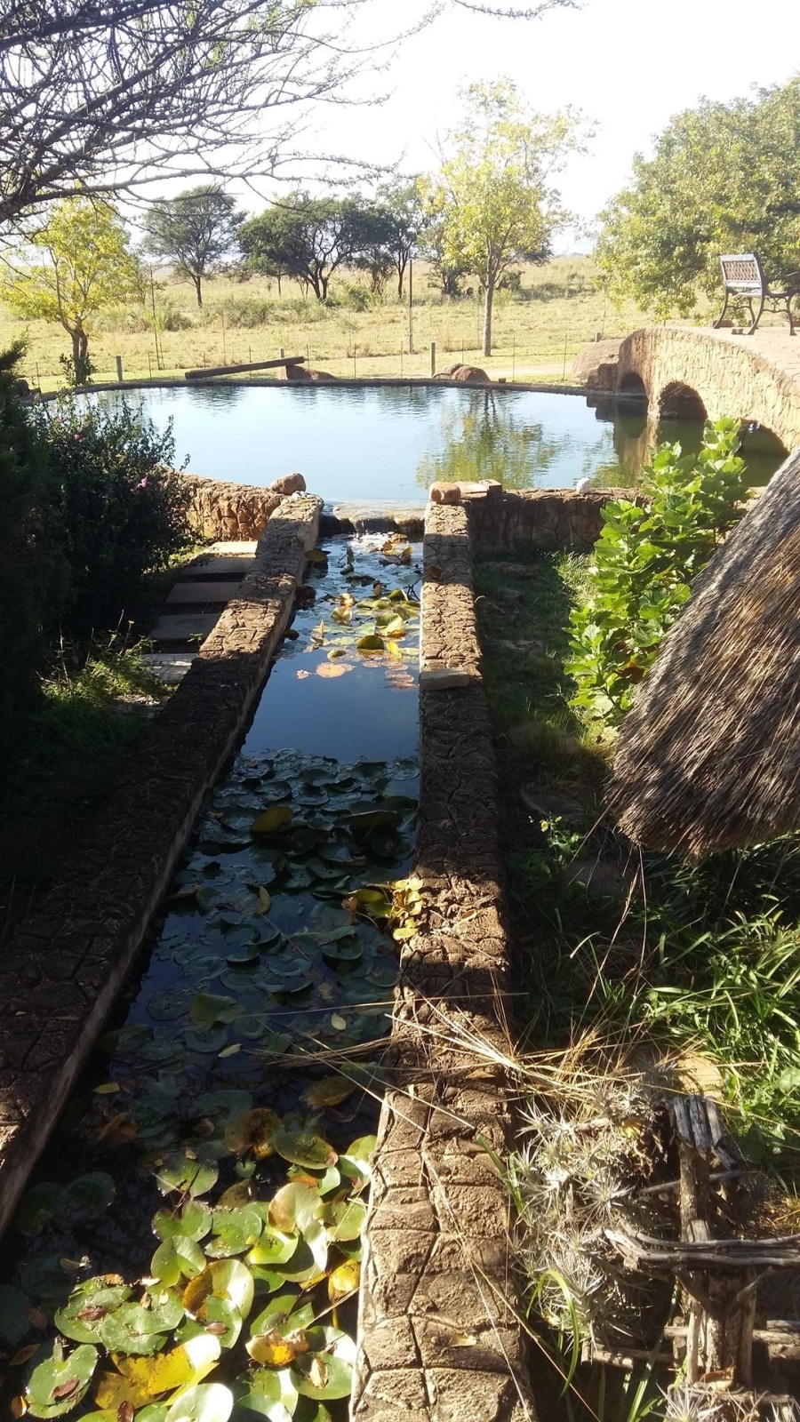 Commercial Property for Sale in Lydenburg Rural Mpumalanga