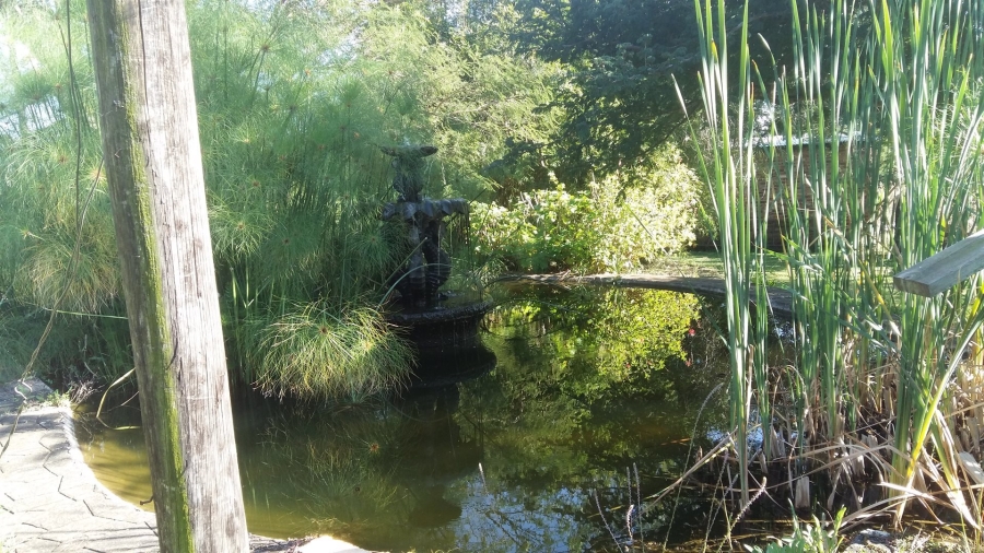 Commercial Property for Sale in Lydenburg Rural Mpumalanga