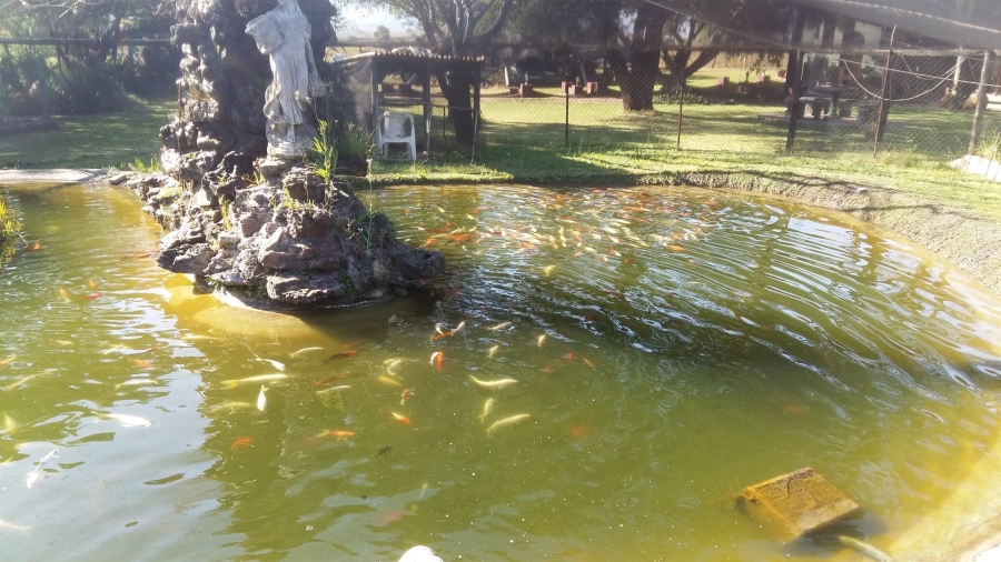 Commercial Property for Sale in Lydenburg Rural Mpumalanga