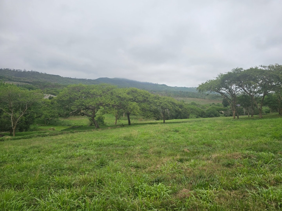 Commercial Property for Sale in Nelspruit Rural Mpumalanga