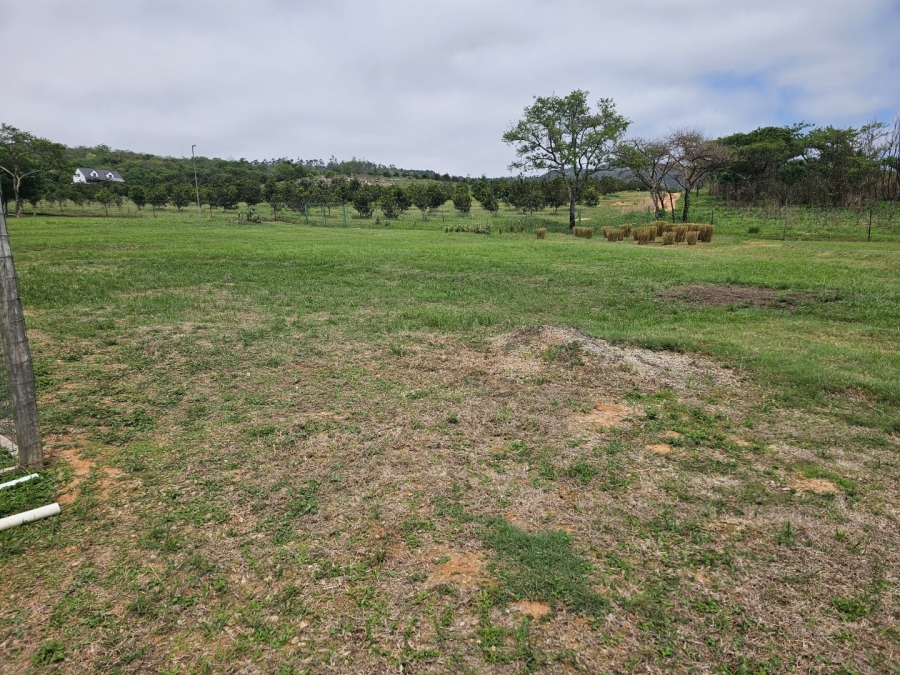 Commercial Property for Sale in Nelspruit Rural Mpumalanga