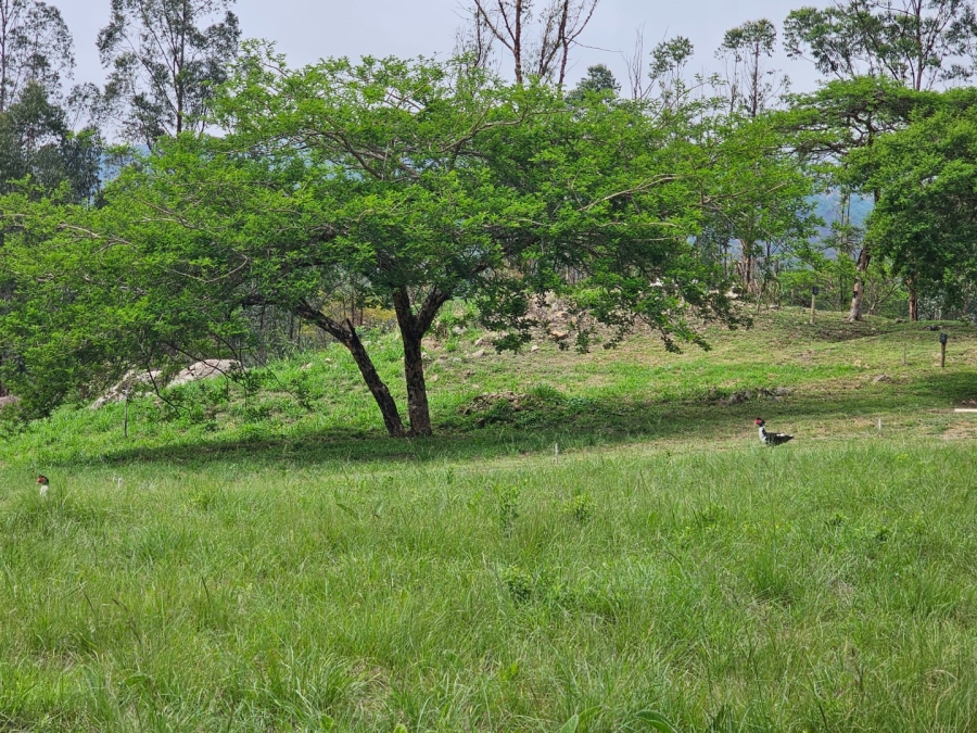 Commercial Property for Sale in Nelspruit Rural Mpumalanga