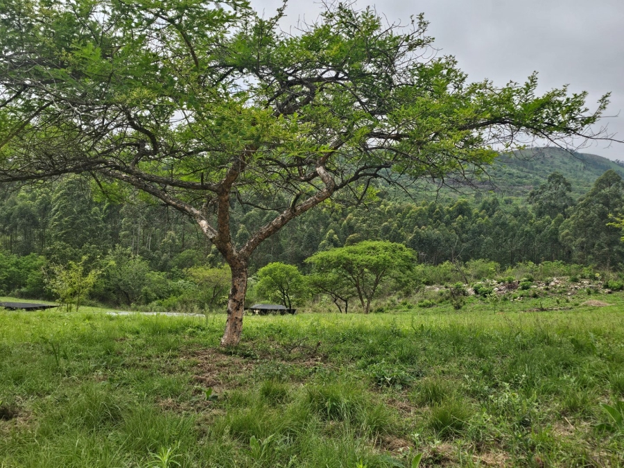 Commercial Property for Sale in Nelspruit Rural Mpumalanga
