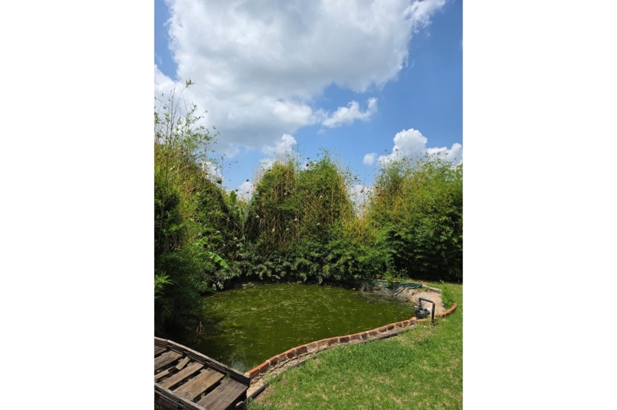 Commercial Property for Sale in Stoffberg Mpumalanga