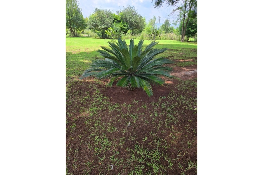 Commercial Property for Sale in Stoffberg Mpumalanga