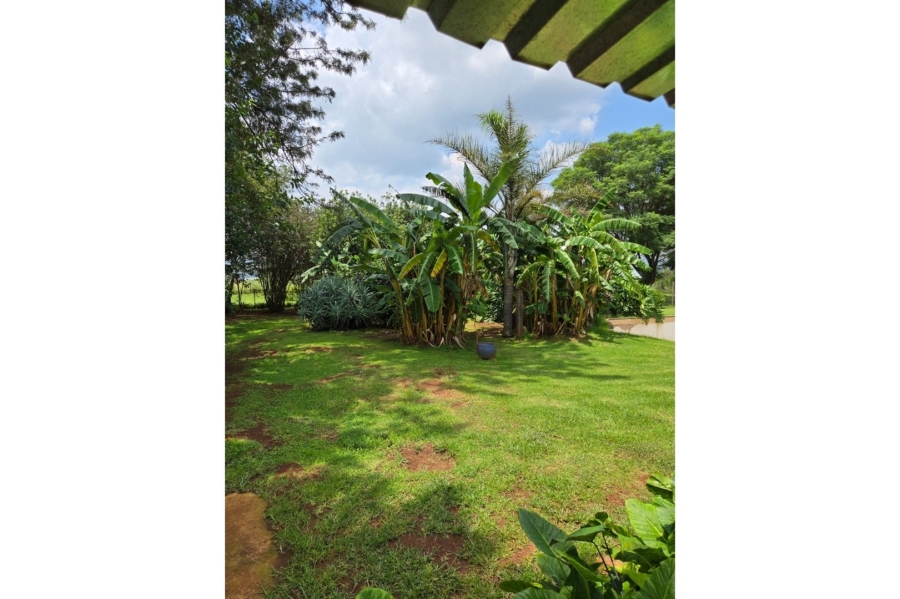 Commercial Property for Sale in Stoffberg Mpumalanga