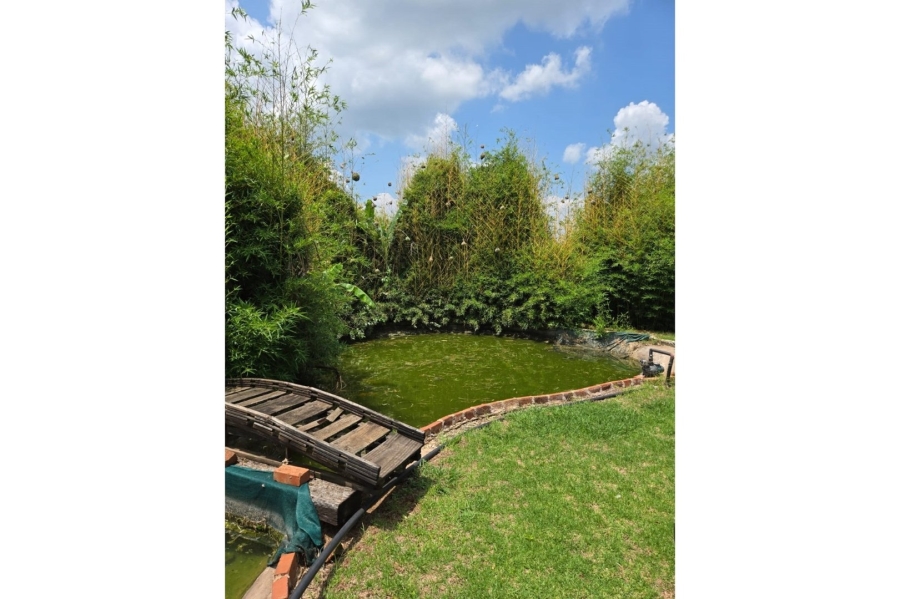 Commercial Property for Sale in Stoffberg Mpumalanga