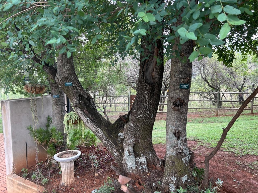 4 Bedroom Property for Sale in Kranspoort Mpumalanga