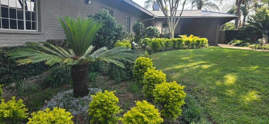 To Let  Bedroom Property for Rent in White River Rural Mpumalanga