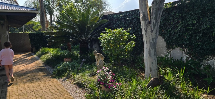 To Let  Bedroom Property for Rent in White River Rural Mpumalanga