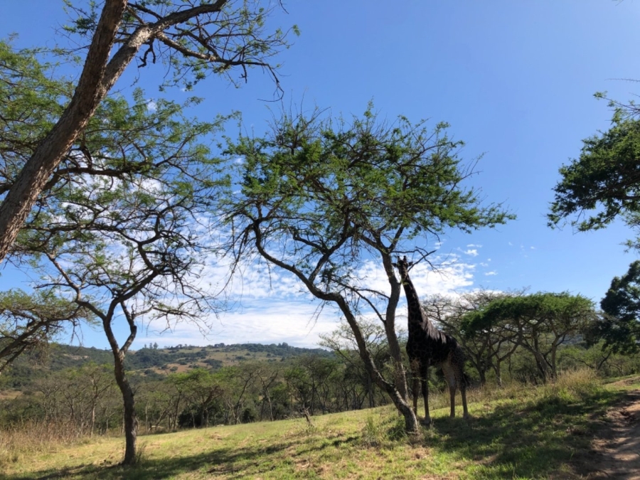 Commercial Property for Sale in Wild Fig Country Estate Mpumalanga