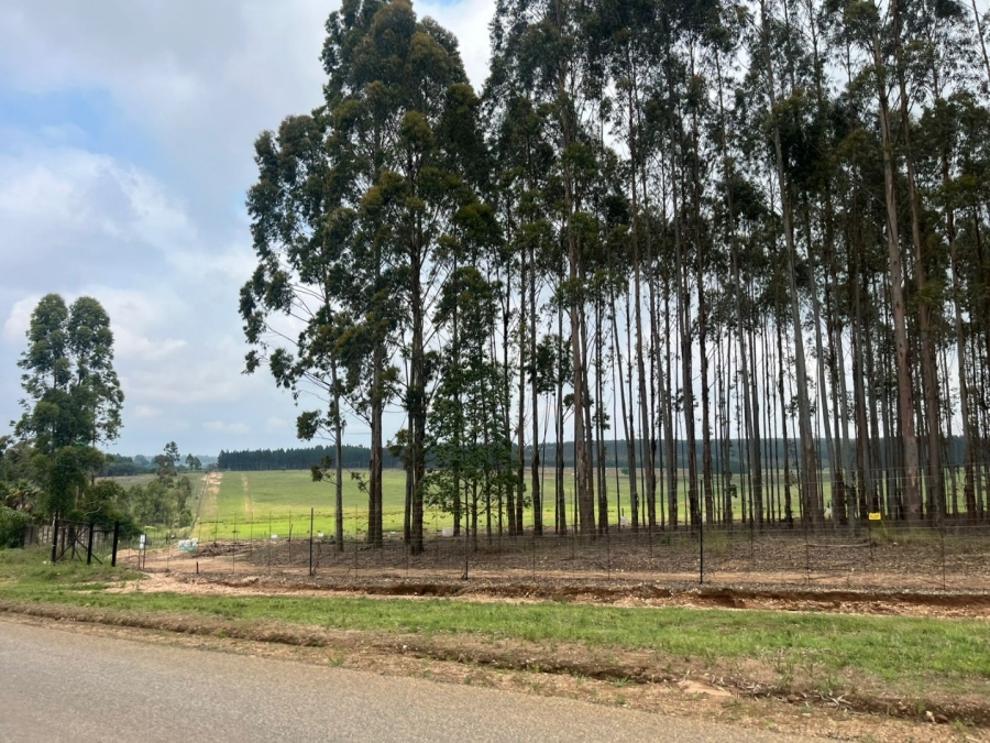 Commercial Property for Sale in Piet Retief Mpumalanga