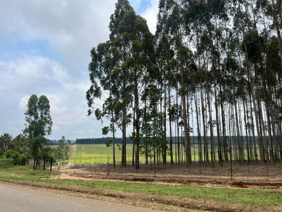 Commercial Property for Sale in Piet Retief Mpumalanga