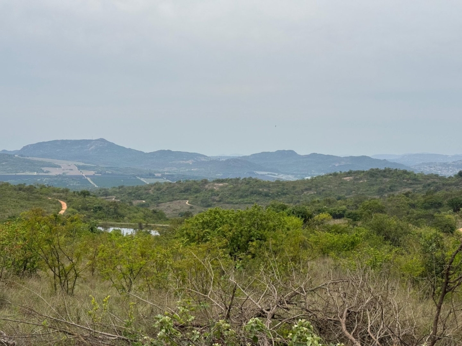 Commercial Property for Sale in Likweti Bushveld Farm Estate Mpumalanga