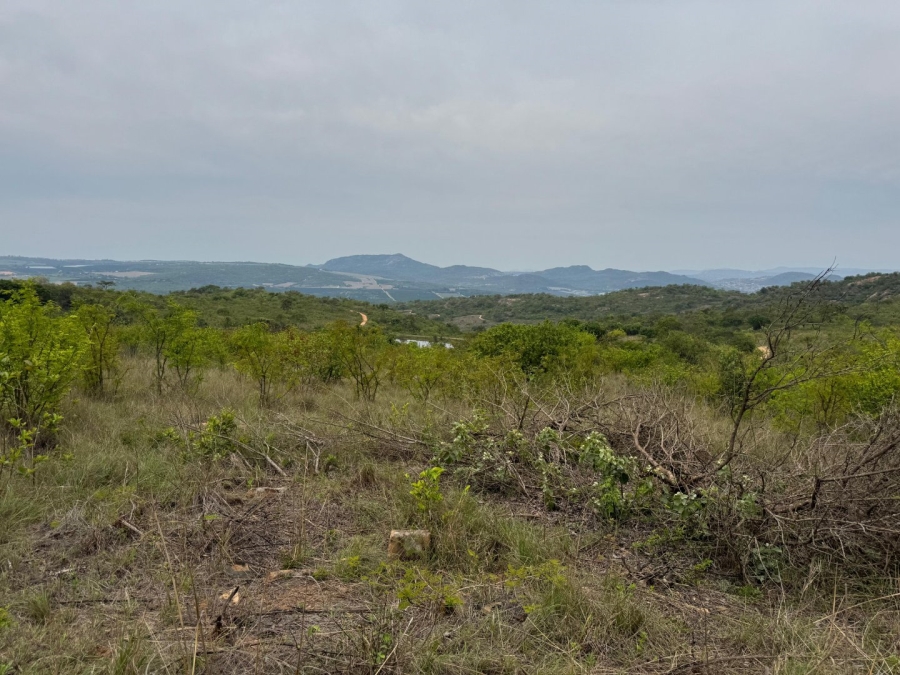 Commercial Property for Sale in Likweti Bushveld Farm Estate Mpumalanga