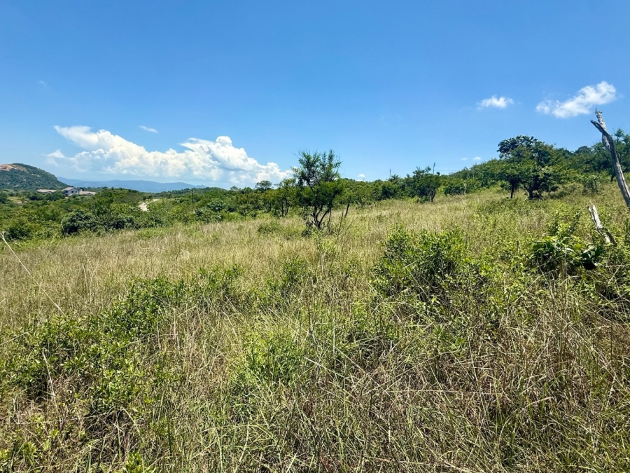 Commercial Property for Sale in Likweti Bushveld Farm Estate Mpumalanga